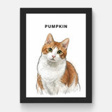 Pet hand-drawn portrait paintings