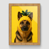 Pineapple Hat Pet Art Photos