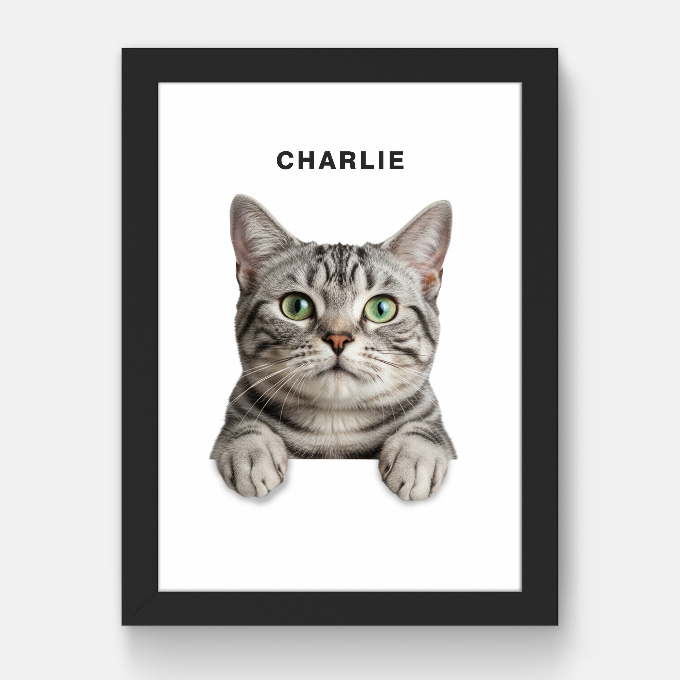Black Frame/White