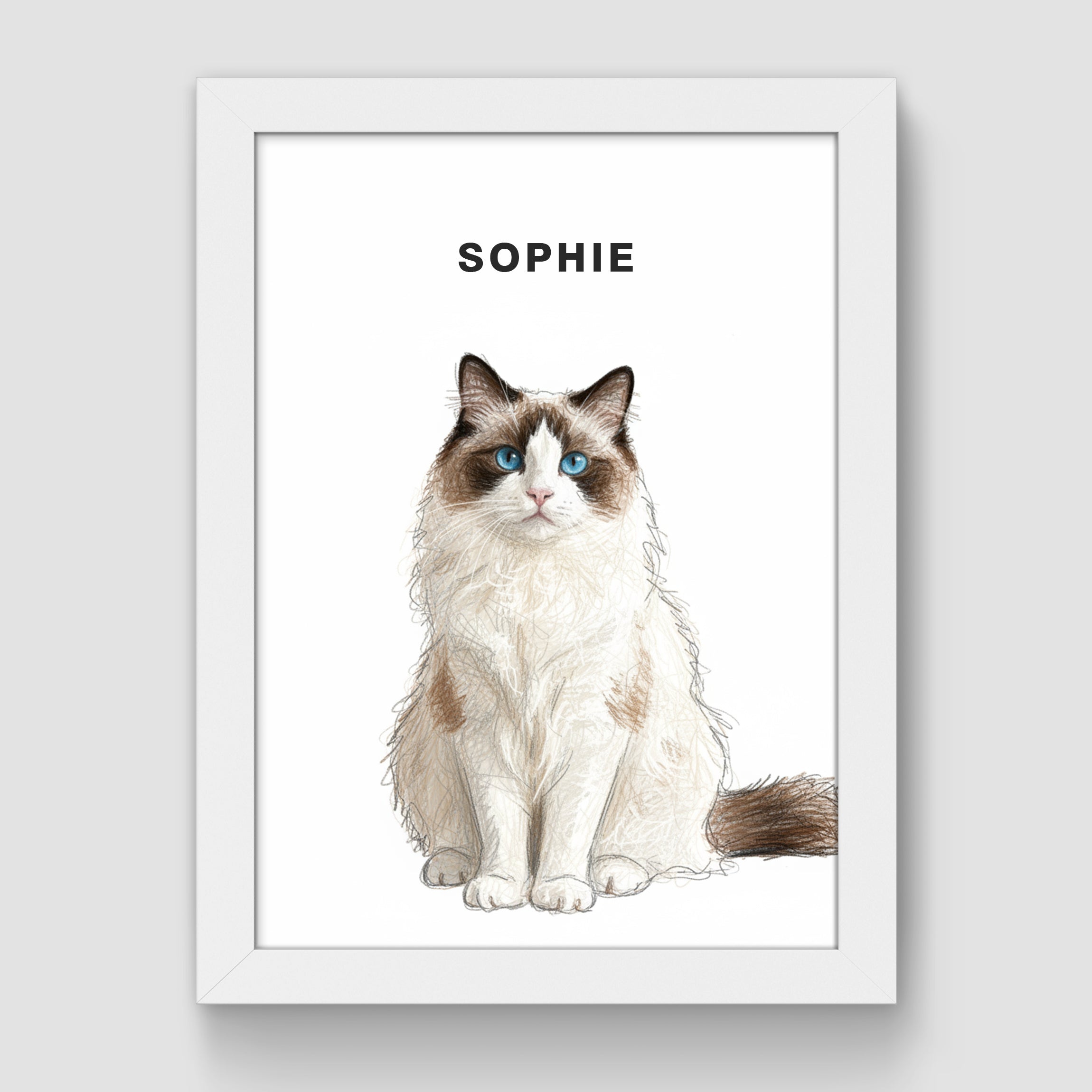 Pet hand-drawn portrait paintings