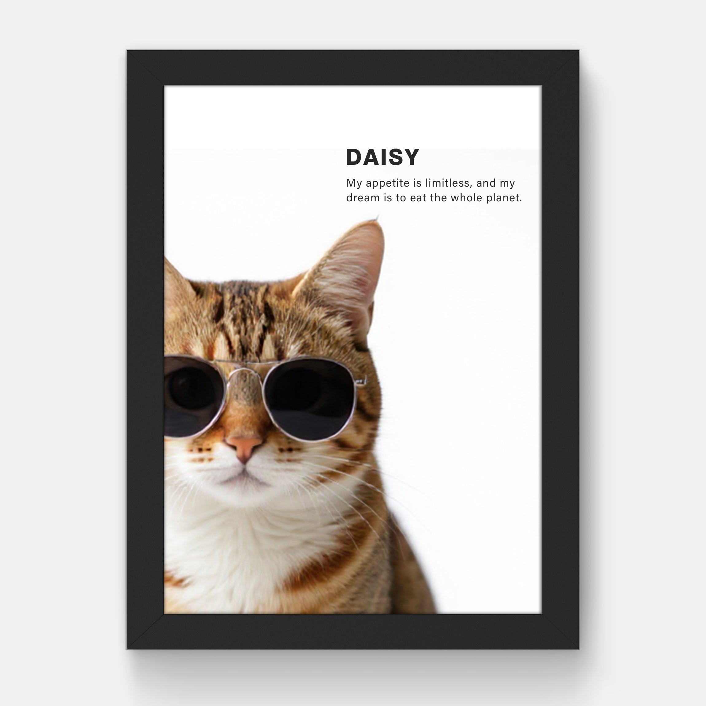 Cool Pets