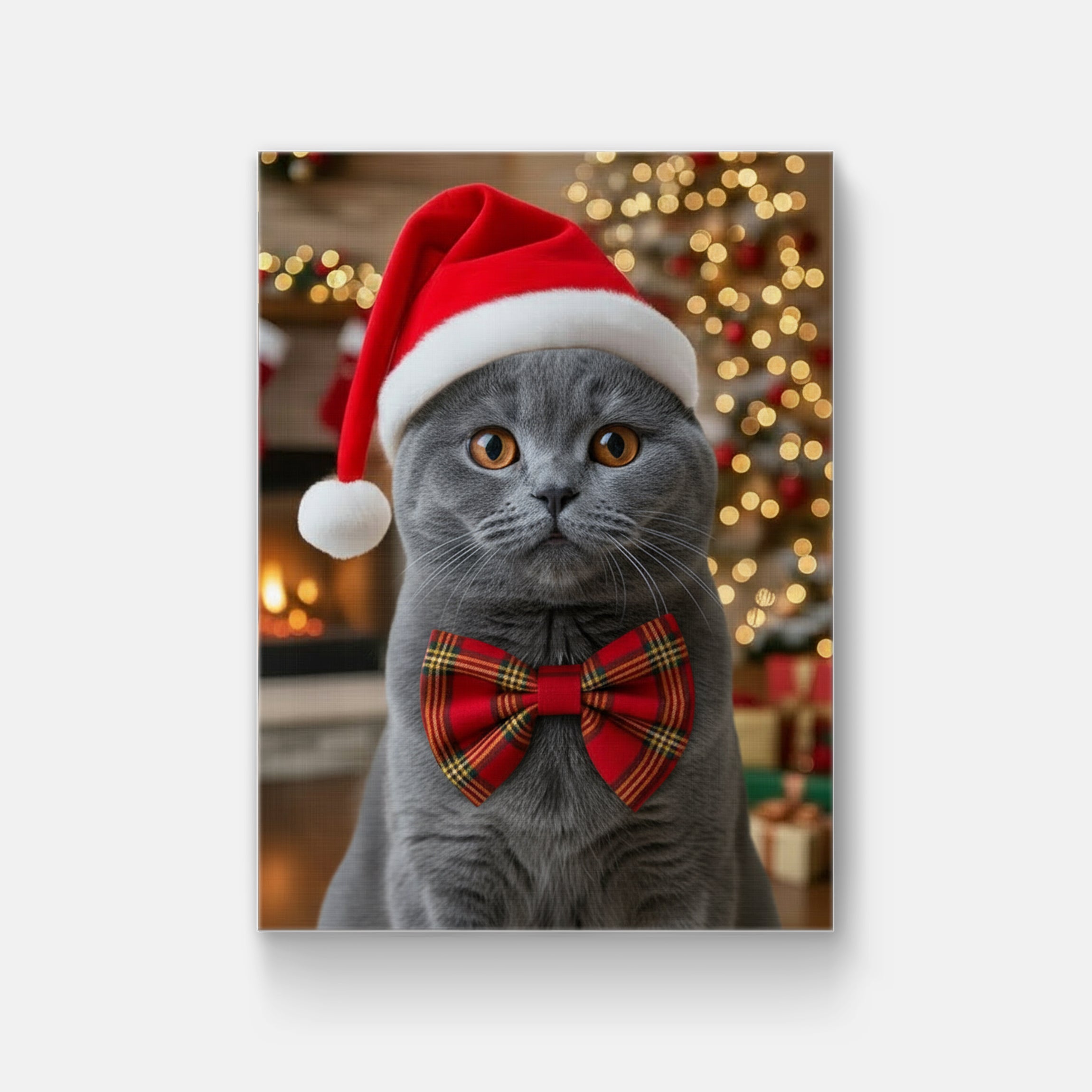 Christmas Festival Customization