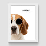 Cool Pets