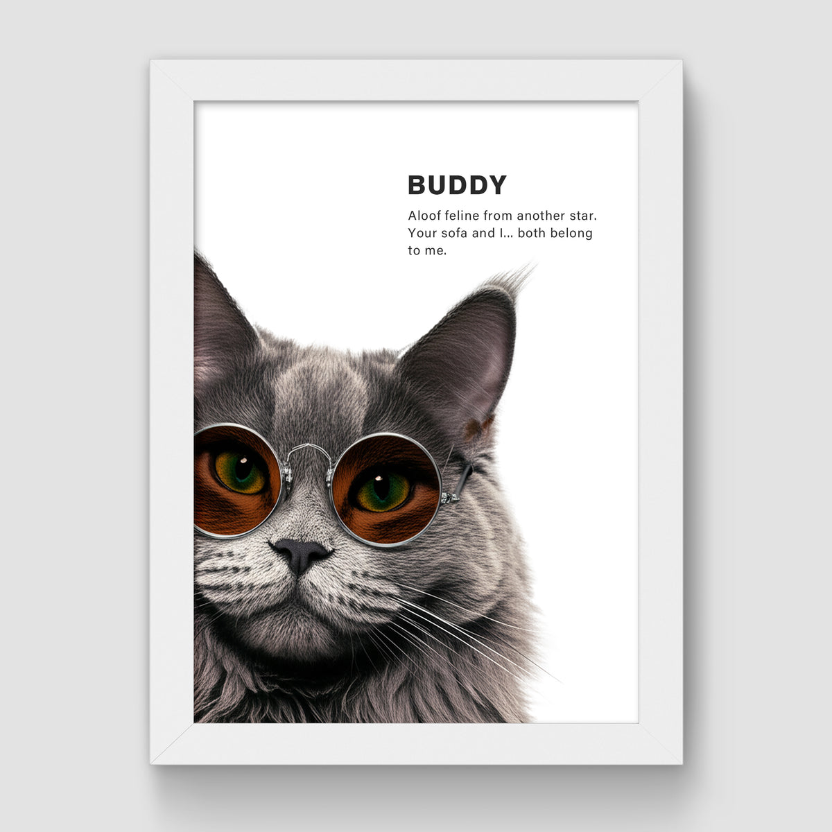 Cool Pets