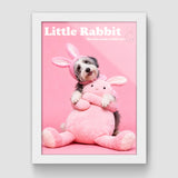 Pink rabbit