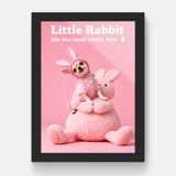 Pink rabbit